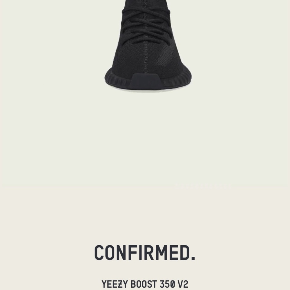 Yeezy 350 v2